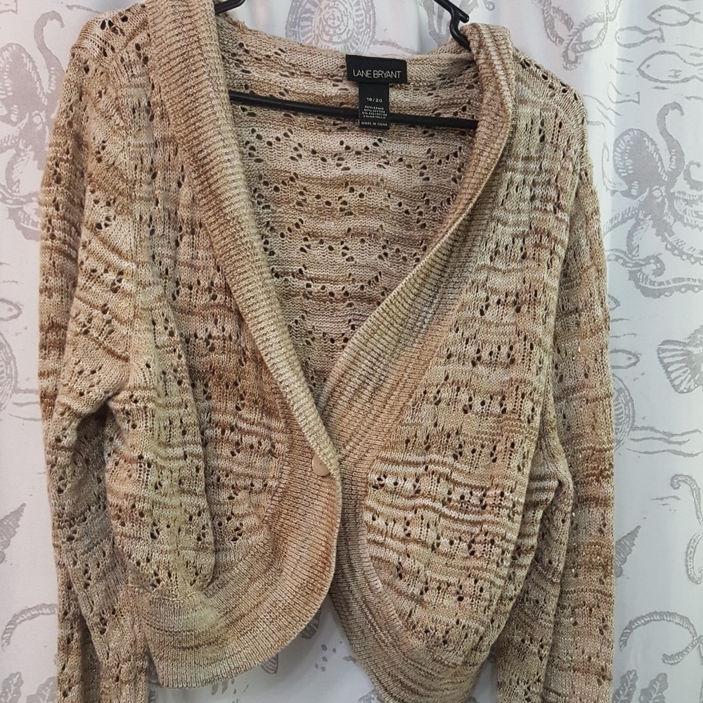 Long Sleeve Hooded Shrug